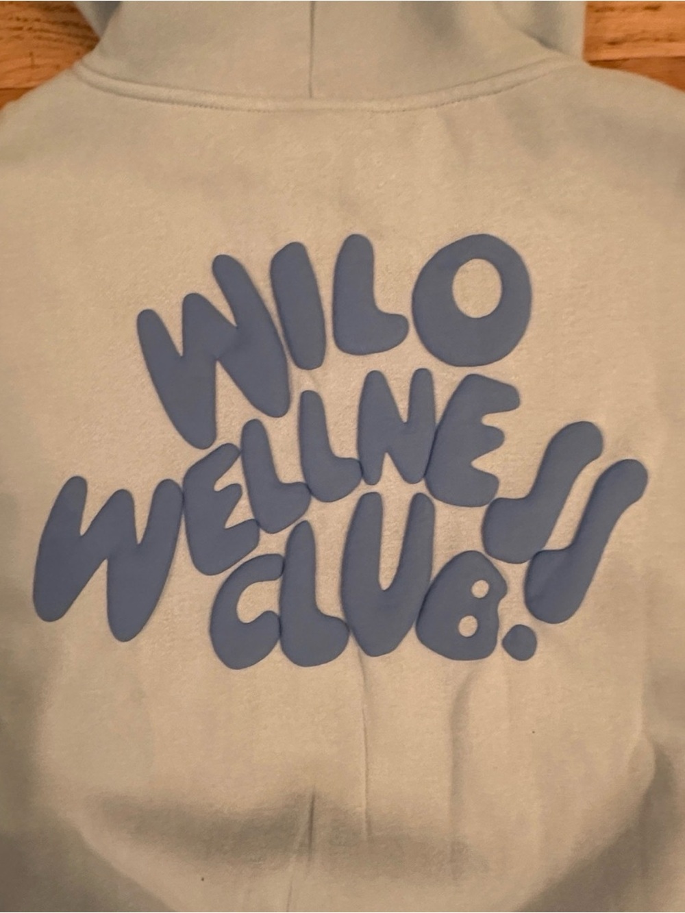 WILO Light Blue Cozy Fleece Zip Hoodie & Drawstring Shorts Set- NWT!Size M - Picture 9 of 9